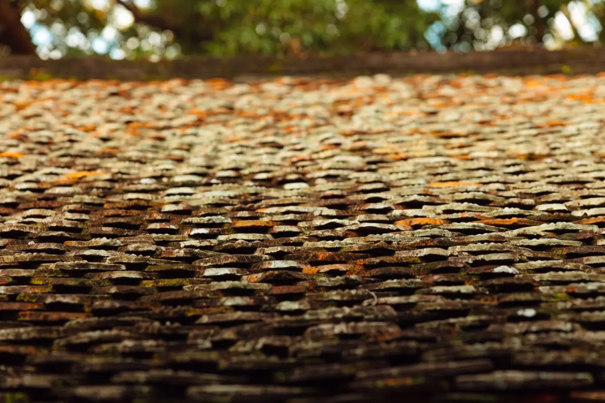 Roof Inspections in Cary, NC